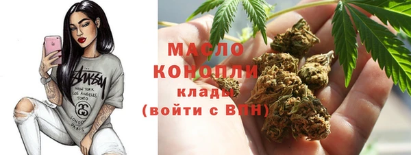 мдпв Магас