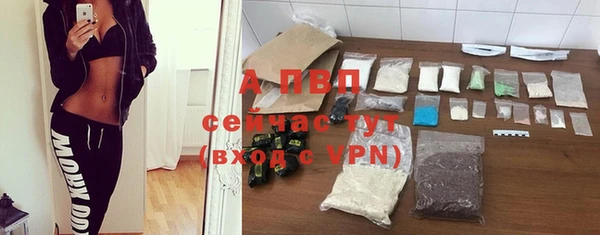 шишки Магадан
