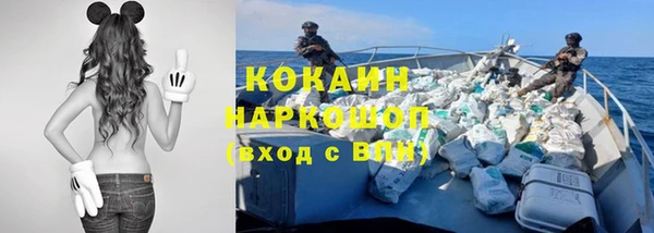 шишки Магадан