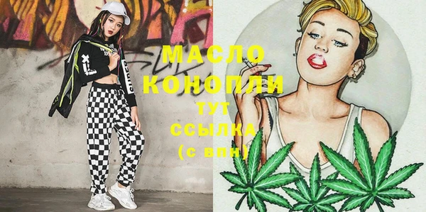 мдпв Магас