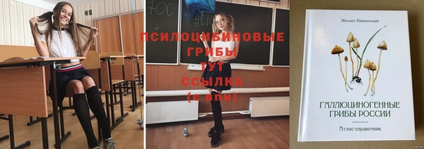 мдпв Магас