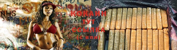 шишки Магадан