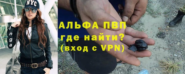 шишки Магадан