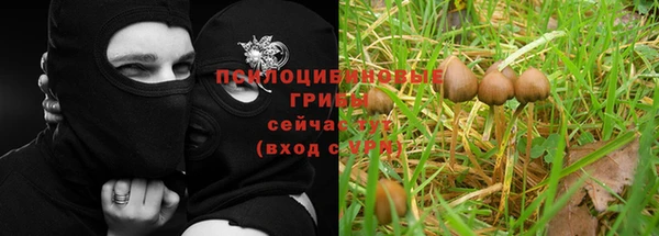 2c-b Майский