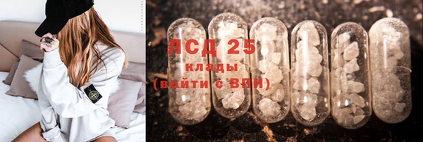 шишки Магадан