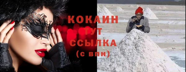 шишки Магадан